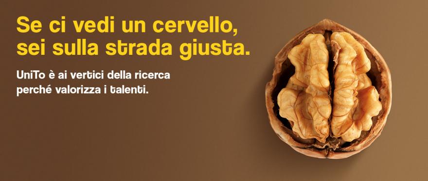 Immatricolazioni a.a. 2020-21 immagine di una noce con scritta: SE CI VEDI UN CERVELLO SEI SULLA STRADA GIUSTA