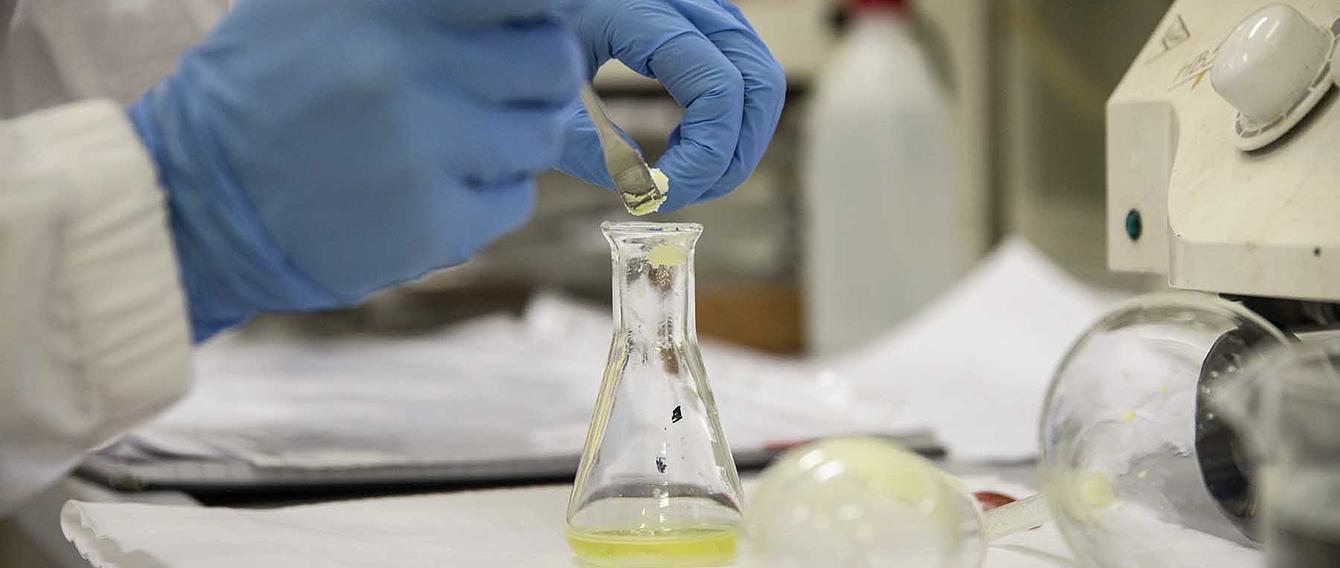 provetta di laboratorio chimico