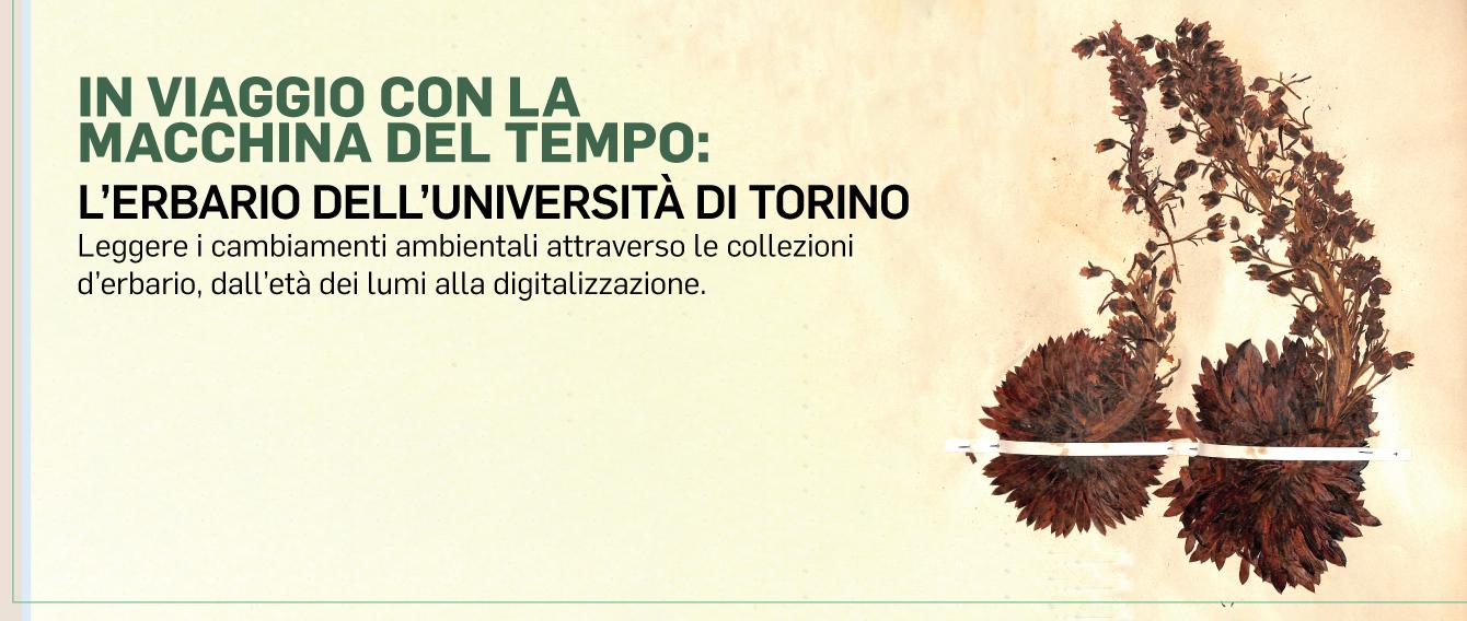titolo dell'evento su fondo colorato con immagine di foglie
