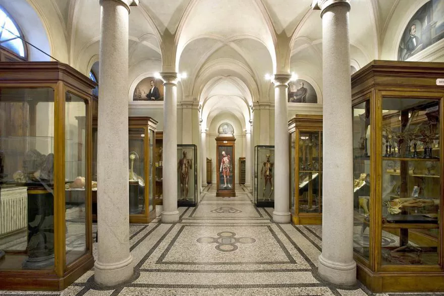 Museo di Anatomia Umana Museo di Anatomia Umana