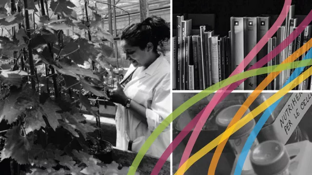 Ricercatrice al lavoro 