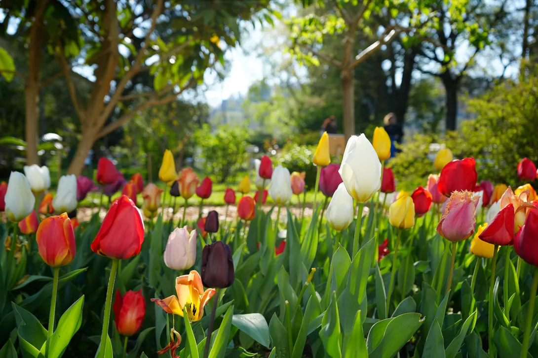 orto botanico
