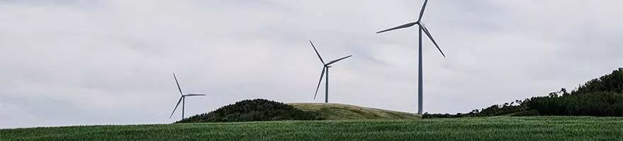 Foto settore Ambiente Foto di unsplash / Priscilla Du Preez